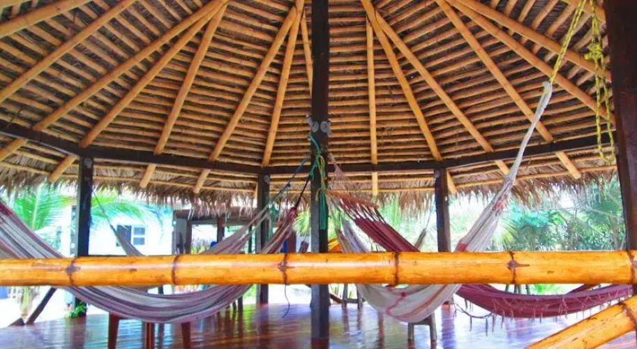 Hotel Baloo