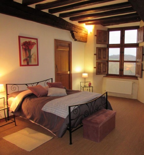 Standard Double room with river view