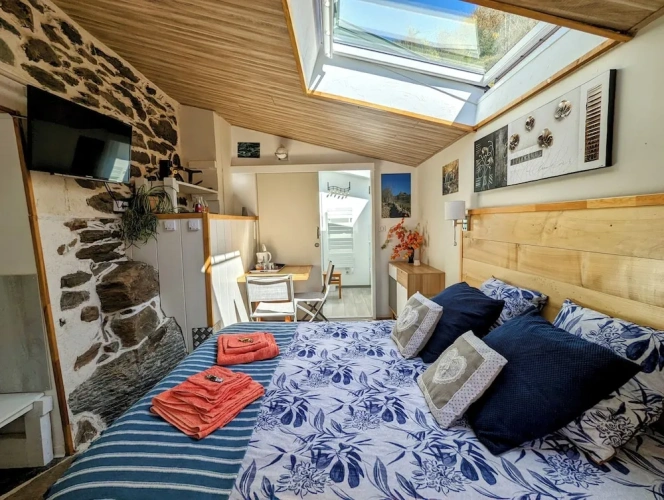 Standard Double Basement room