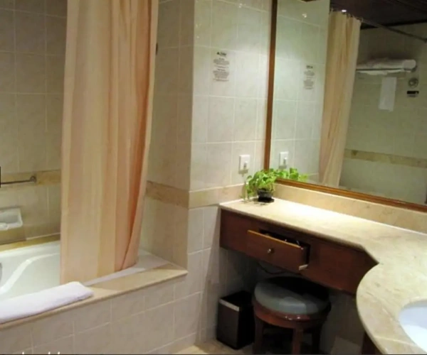 Executive room with balcony