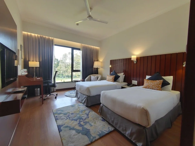 Deluxe Twin room with view