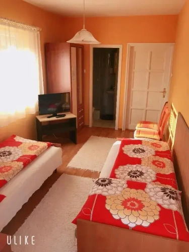 Standard Twin room with garden view