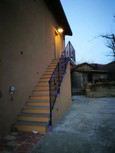Classic Apartment