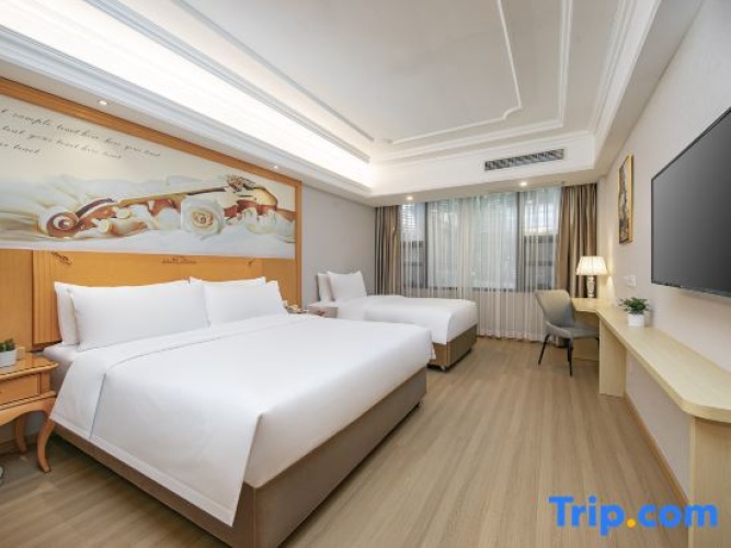 Deluxe Twin Family room