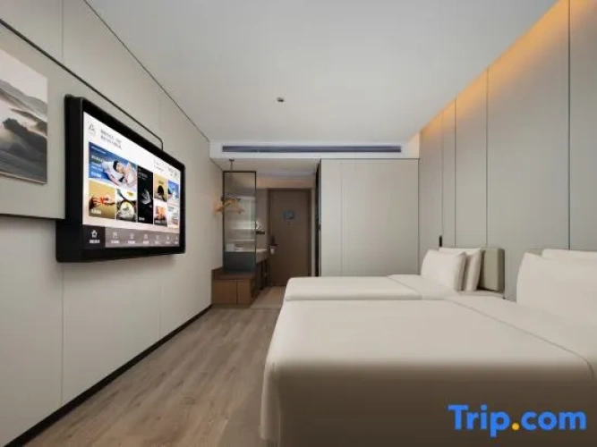 Executive Twin room