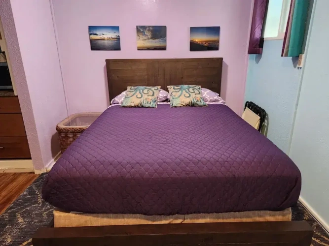 Comfort Studio
