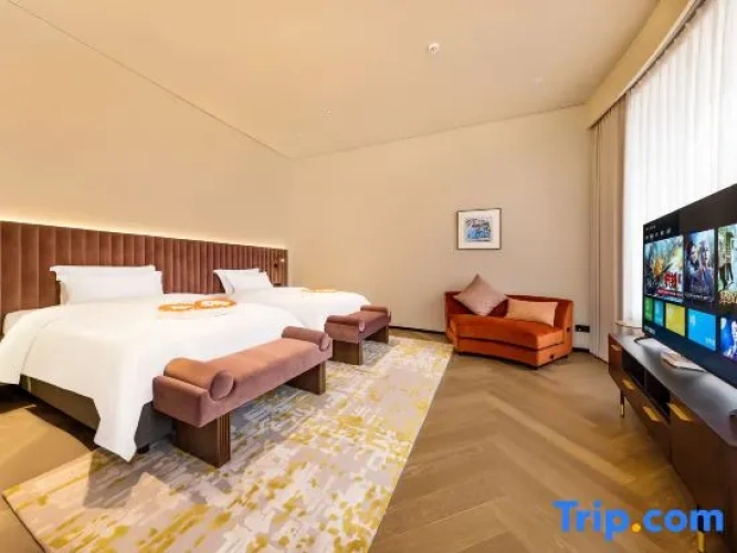 Comfort Suite