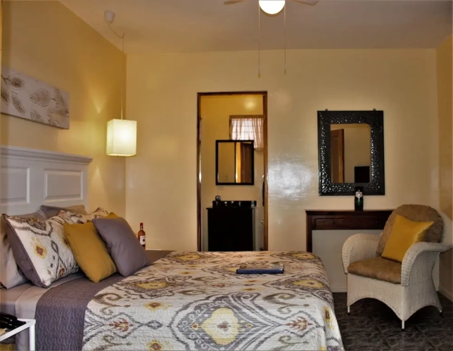 Deluxe Double room with courtyard view