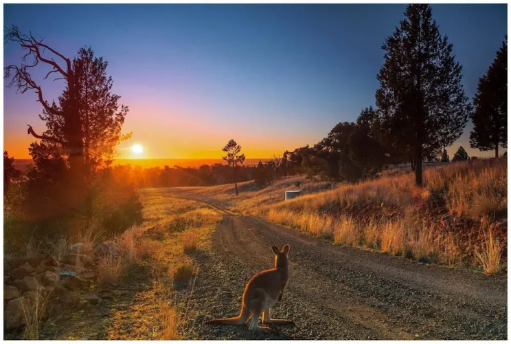 Bulwarra Bed & Breakfast