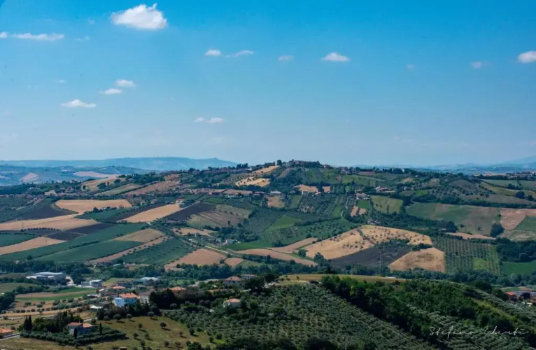 Villa Mascitti B&B