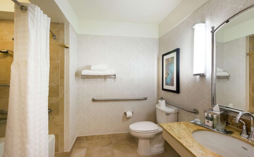 DoubleTree by Hilton Hotel & Suites Houston by the Galleria photo 18