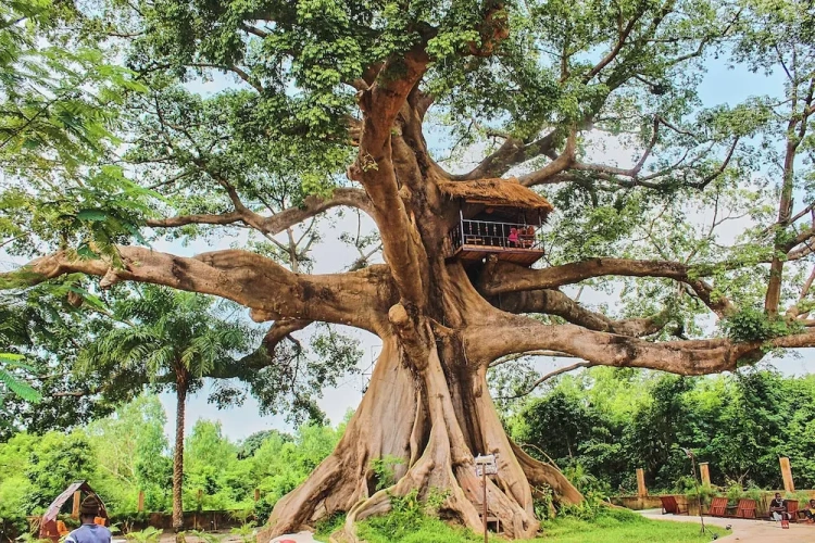 Villa with view