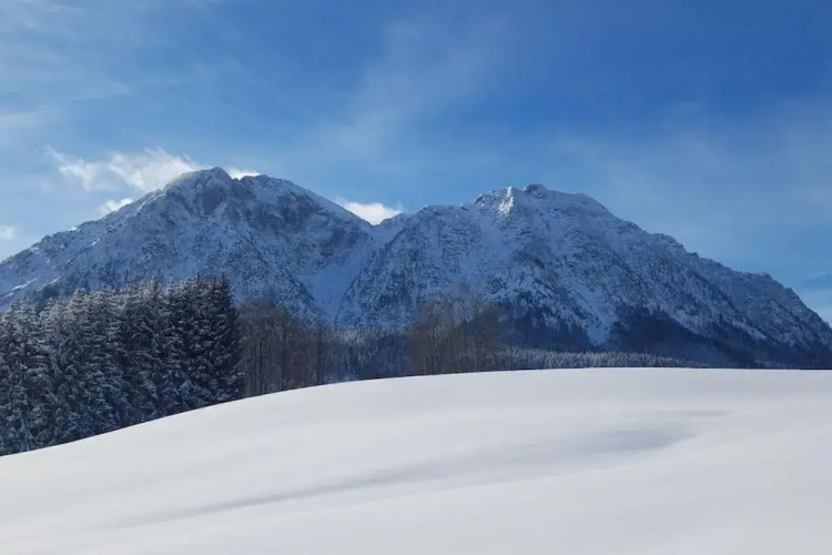 'dasBergblick'
