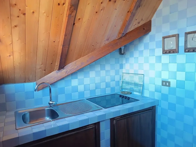 1 Bedroom Apartment with lake view