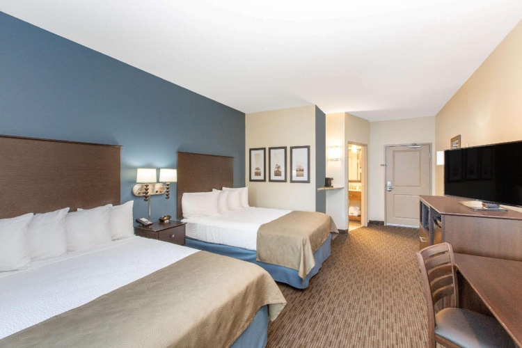 Business Quadruple room