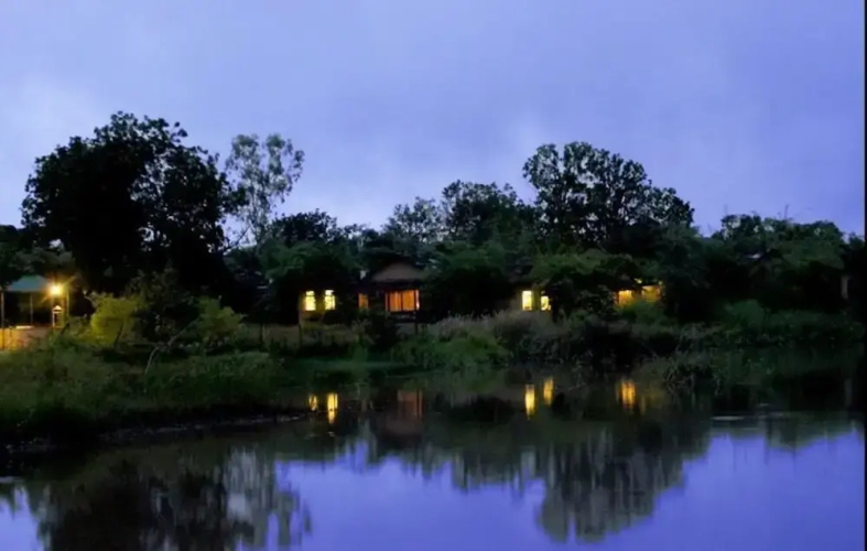Tiger Lagoon