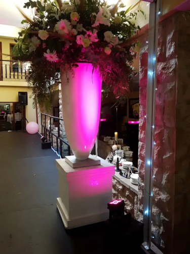 Aanmani Rose Guest House