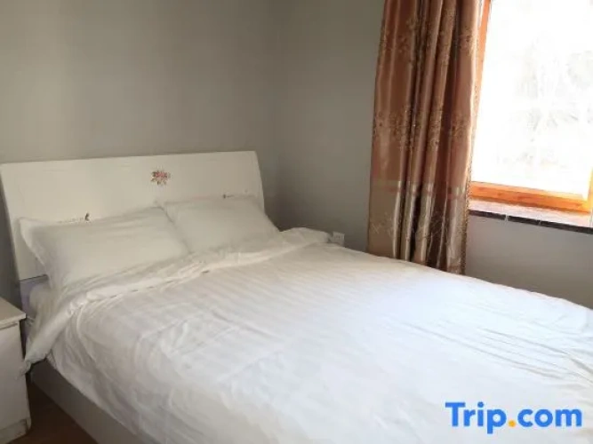 Standard Double room with view