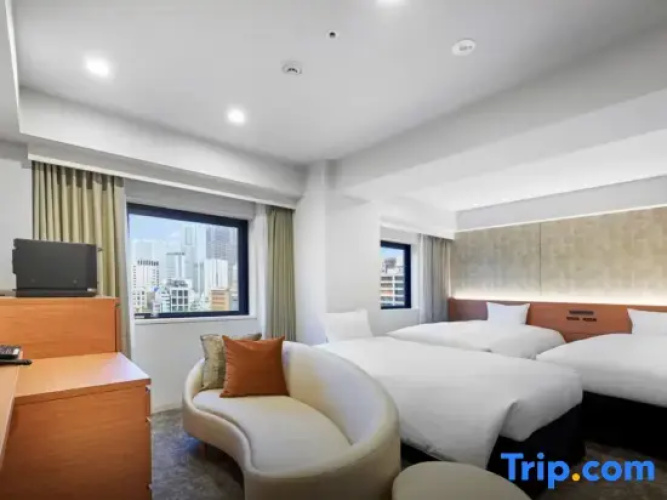 Deluxe Twin room with park view