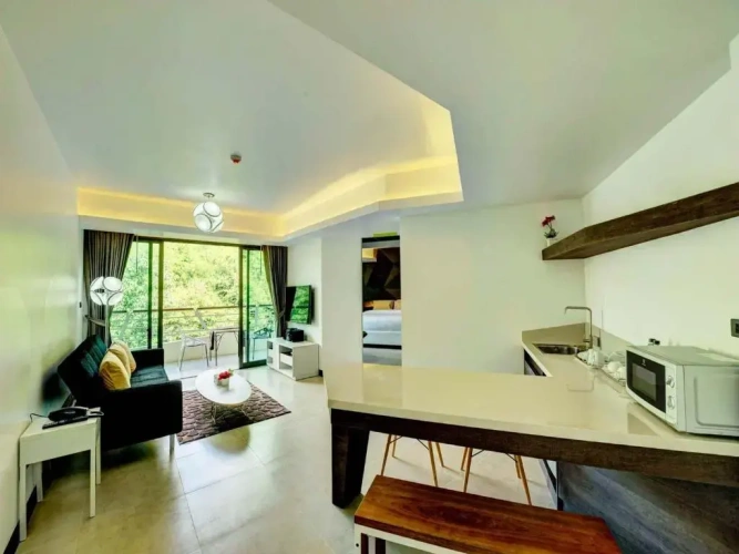 1 Bedroom Suite