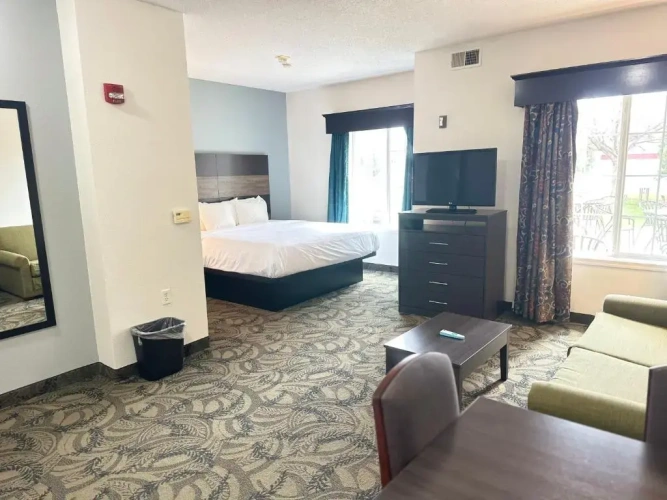 1 Bedroom Suite