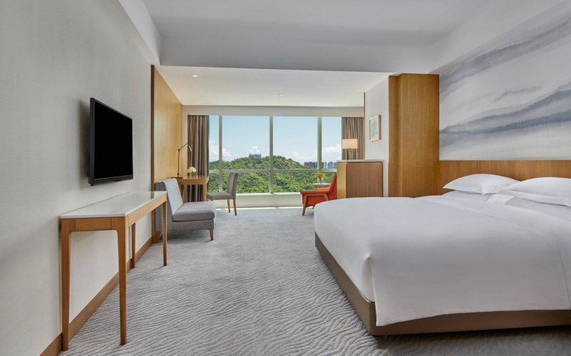 Standard Double room with city view