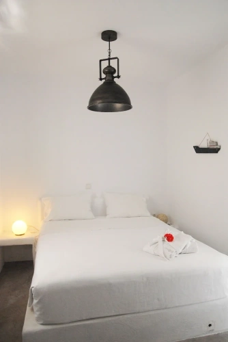 Standard Double room with balcony and with garden view