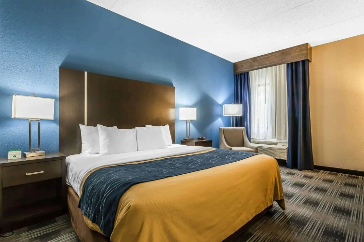 1 Bedroom Standard room