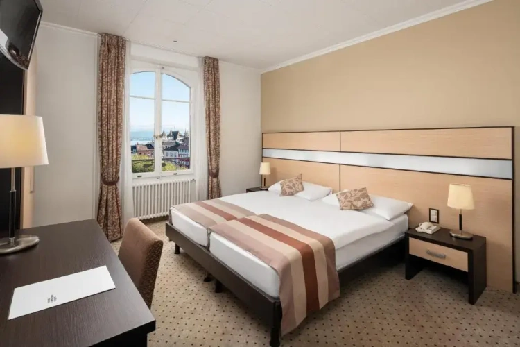 Standard Double room with lake view