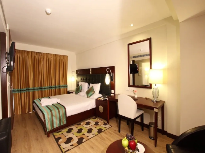 Luxury Double Suite with balcony and with city view