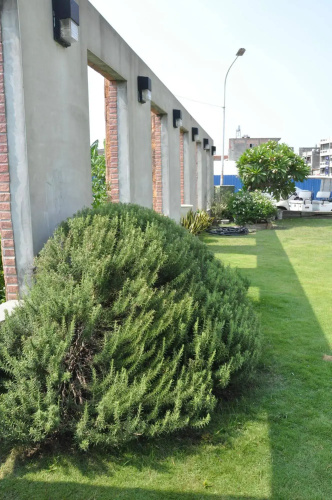 Lukang B&B