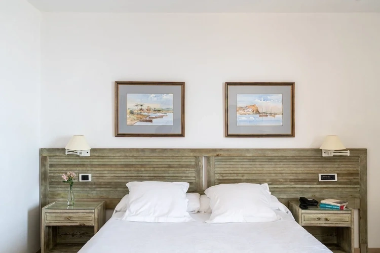 Basic Double room