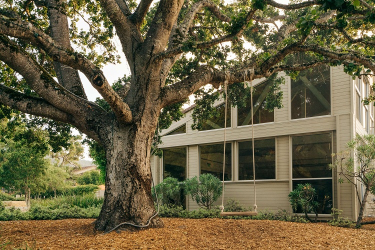 Carmel Valley Ranch In The Unbound Collection By photo 27