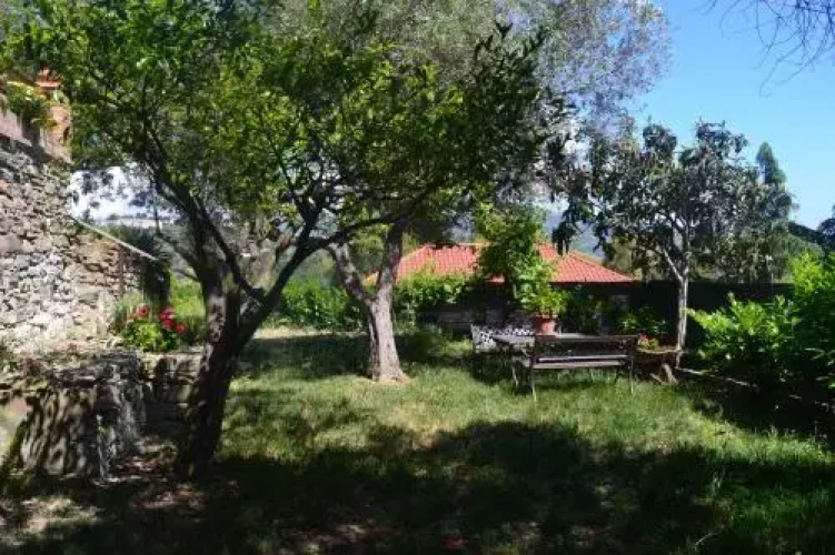 Casa Teresina