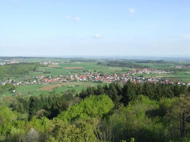 Drei Lilien