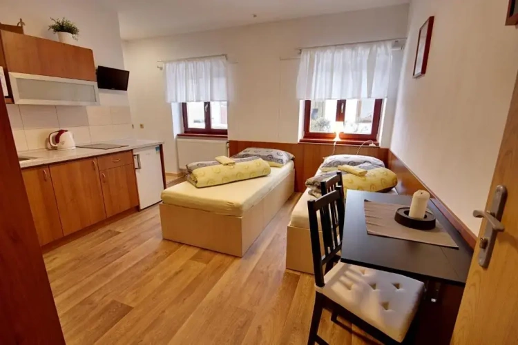 Deluxe Apartment