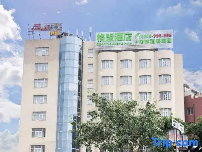 GreenTree Alliance Hotel (Foshan Pingzhou Jade Street)