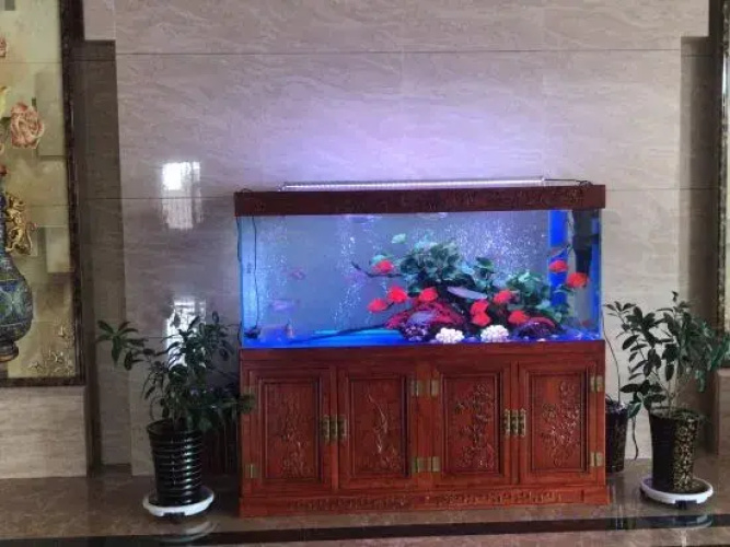 Badan Impression Holiday Hotel
