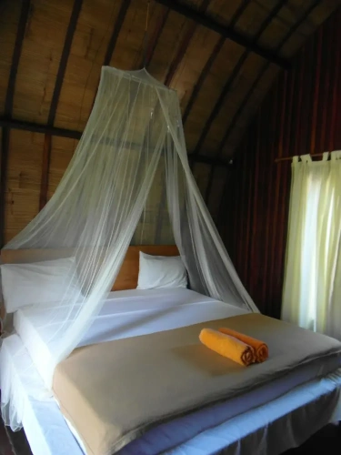 Standard Double room with balcony and with garden view