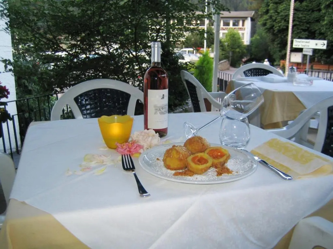 Hotel Schuster
