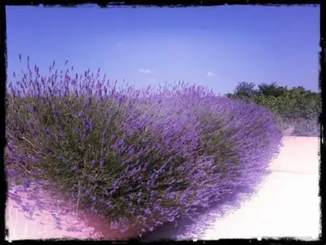 Dimora del Bugiardo