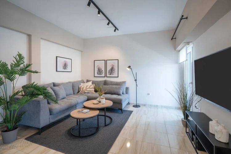 Luxury Apartment