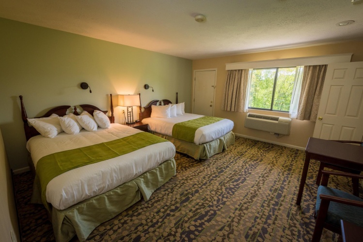 Standard Double room with garden view
