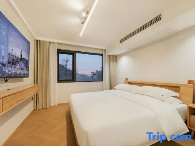 Double Apartment