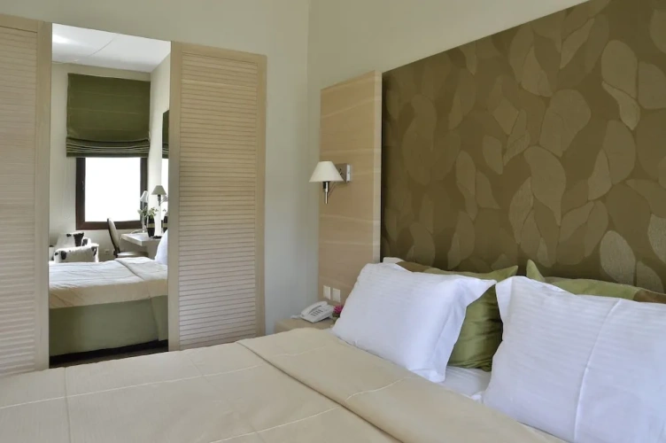 Deluxe Double room with balcony and with land view