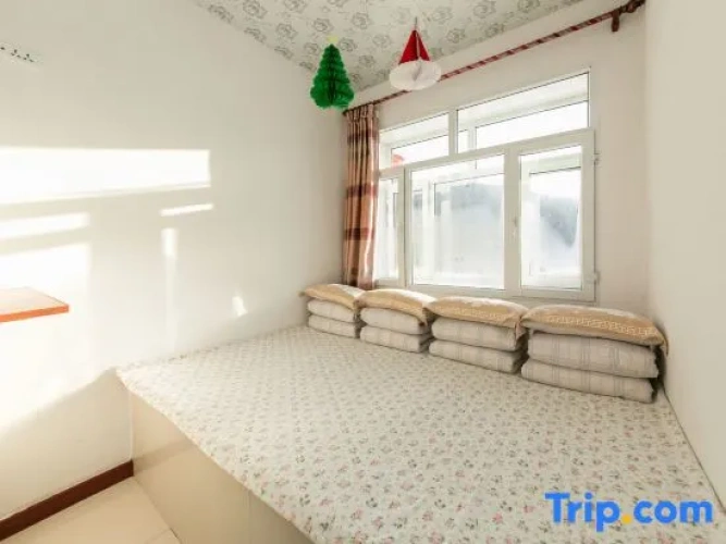 Bed in Dorm