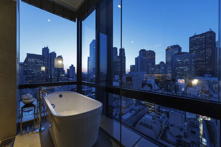 JR Kyushu Hotel Blossom Shinjuku photo 17