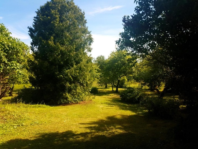 Standard Double room with garden view