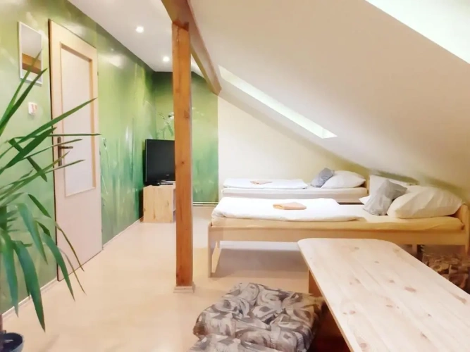 Standard Twin room with balcony and with view