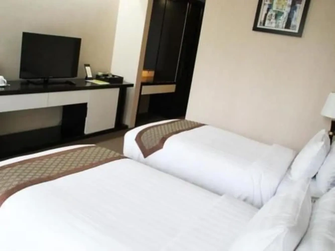 Deluxe Twin room